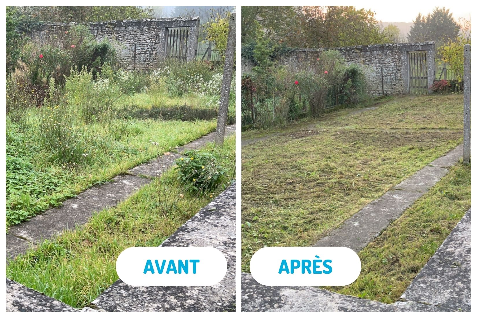 Photo avant / après, tonte de jardin
