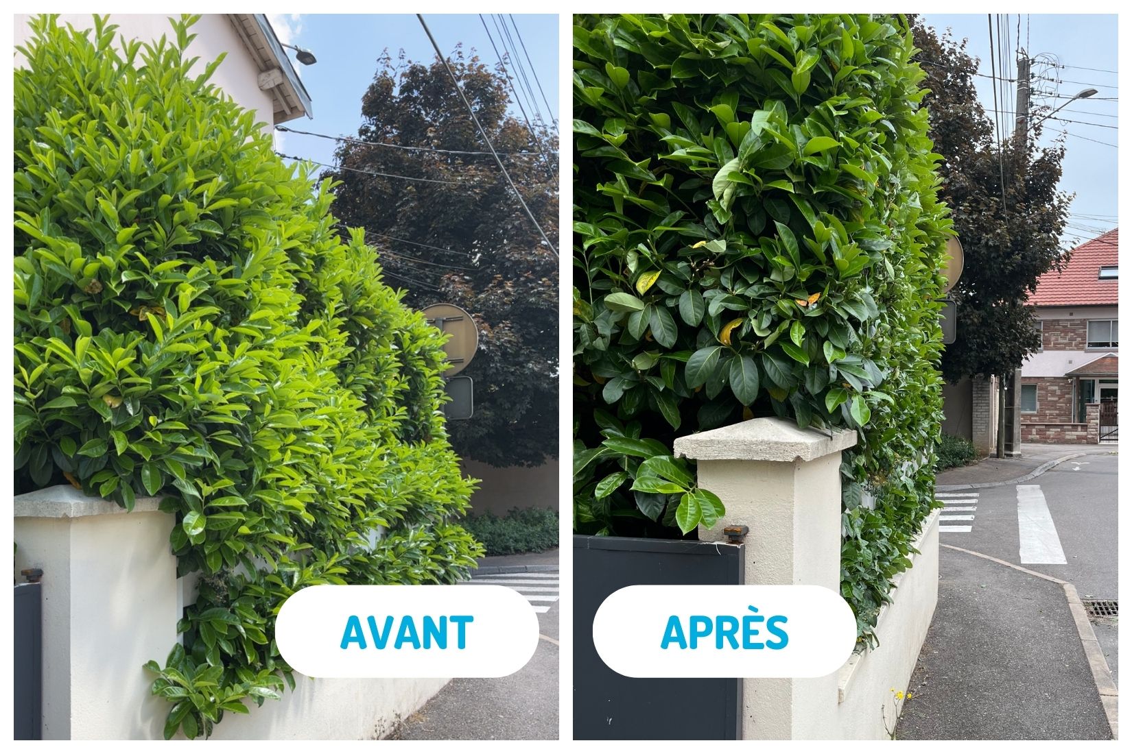 Photo avant / après, services espaces verts